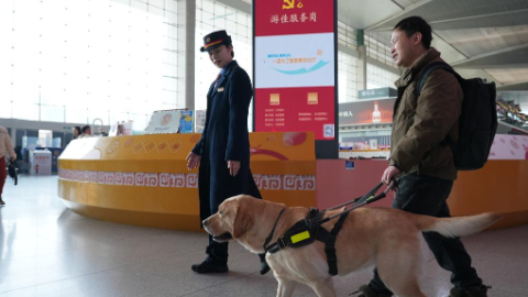 春運里的溫柔守護：導盲犬“拿鐵”與視障旅客的暖心旅途