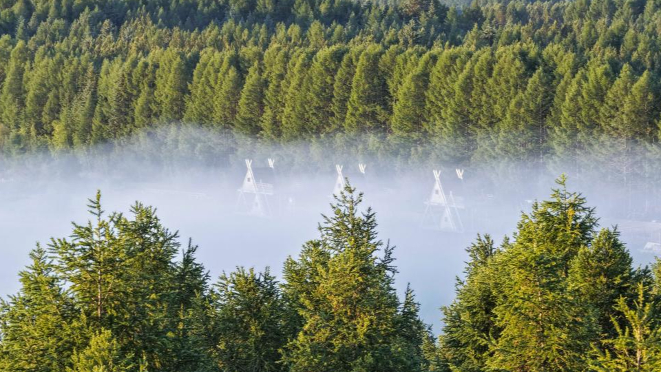 新華鮮報 | 春已至！“植”綠山河