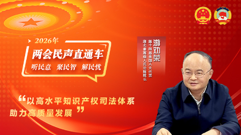 全国人大代表游劝荣：以高水平知识产权司法体系助力高质量发展