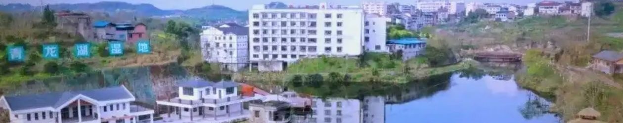 美麗小鎮丨重慶新立鎮：以橘為媒 多元融合