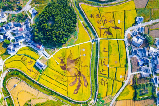 美麗城市丨豐都：重慶市的“屋頂花園”