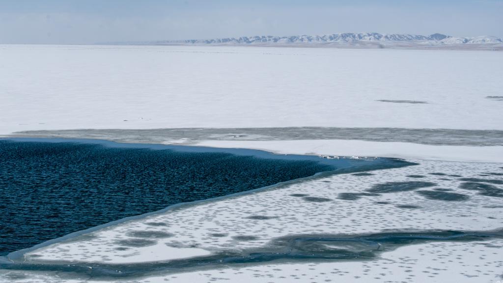 美麗景區丨青海湖：生態為基·交旅融合的青藏高原旅游標桿