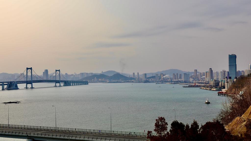 美麗城市丨大連：濱海旅游勝地，人與自然和諧共生的生態之城