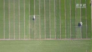 如何讓假劣化肥不再坑農(nóng)害農(nóng)?