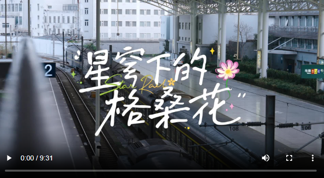 《崩壞：星穹鐵道》開展公益聯動，助力“格桑花之愛”破圈前行