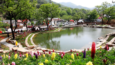 休閑、教育、養老&hellip;&hellip;&ldquo;三農&rdquo;變化之農業新功能