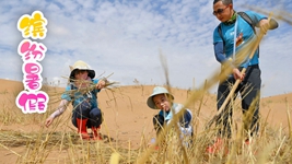 &ldquo;雙減&rdquo;后的第一個暑假，小朋友們是怎么度過的？