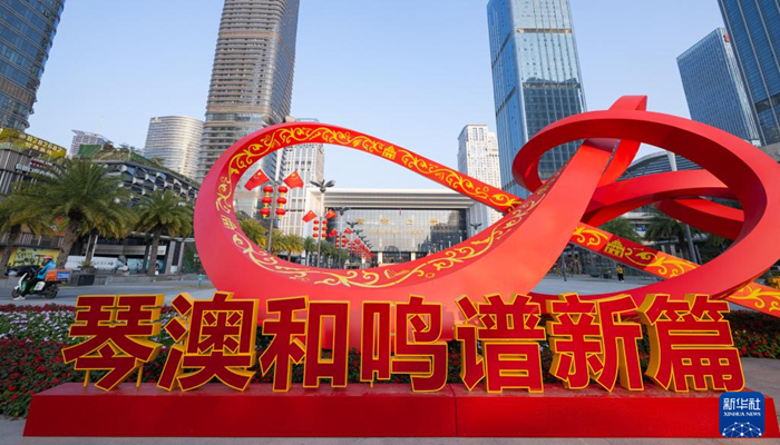 乘风破浪 共筑未来——在琴澳人“双城记”