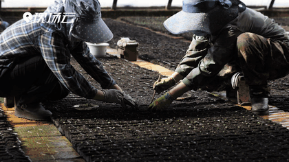 萬象&ldquo;耕&rdquo;新！碼住人間四月天