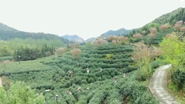 萬(wàn)象&ldquo;耕&rdquo;新！碼住人間四月天