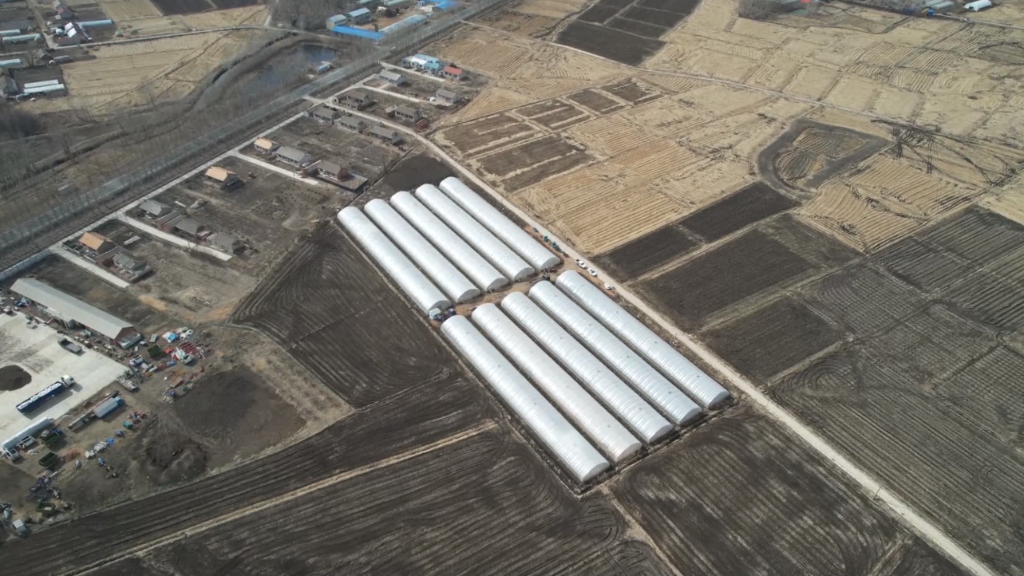 不讓疫情誤農(nóng)情！農(nóng)業(yè)大省吉林打通堵點&ldquo;硬核&rdquo;備春耕