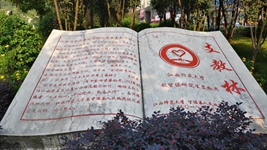 逐夢西部天地寬&mdash;&mdash;大學生志愿服務西部計劃掃描