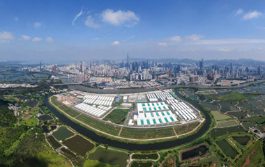 我在現場&middot;照片背后的故事｜援港60天，見證荒灘起方舟