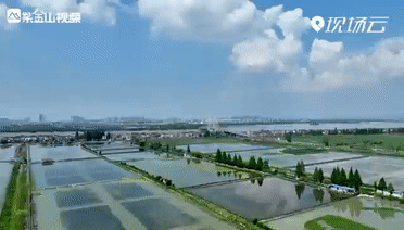 養蟹人:守護豐收的希望