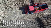 吉林：&ldquo;無人農場&rdquo;實現玉米無人自動收割