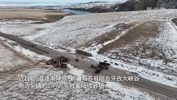 新疆昭蘇:千年牧道見證轉場新變化