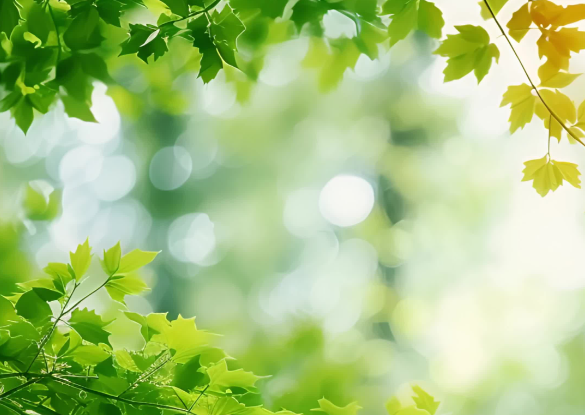 “守護心‘晴’——全民心理健康服務行動”走進陜西安康