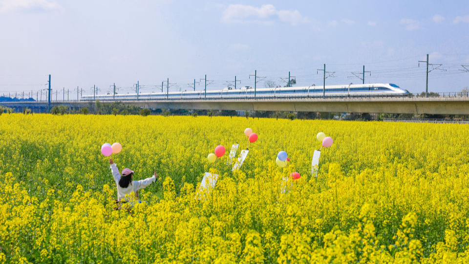 寫在“十五五”規劃綱要啟動實施之際