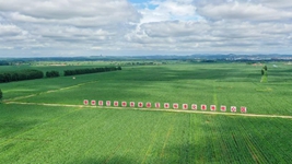 來自東北&ldquo;黃金玉米帶&rdquo;的田野新觀察