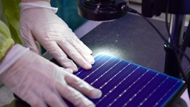 走進市場主體|是什么,讓這家光伏企業“接連奪冠”?