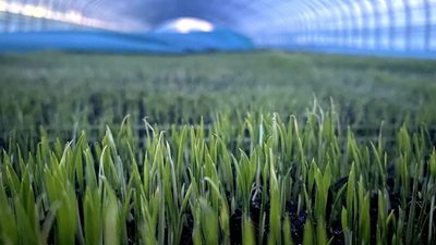 端牢“中國(guó)飯碗”,“北大倉(cāng)”想這么干