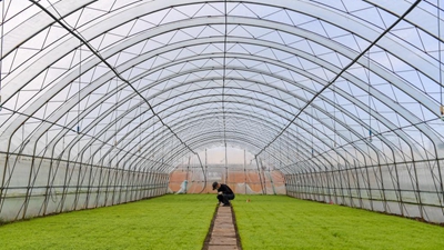 &ldquo;確保土地不撂荒&rdquo;&mdash;&mdash;吉林黑土地上春耕見聞