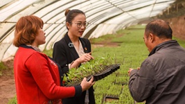 青春，在一線綻放芳華&mdash;&mdash;&ldquo;最美基層高校畢業生&rdquo;速寫