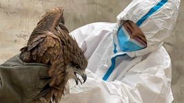 &ldquo;給動物一個溫暖的家，用愛照亮前行的路&rdquo;