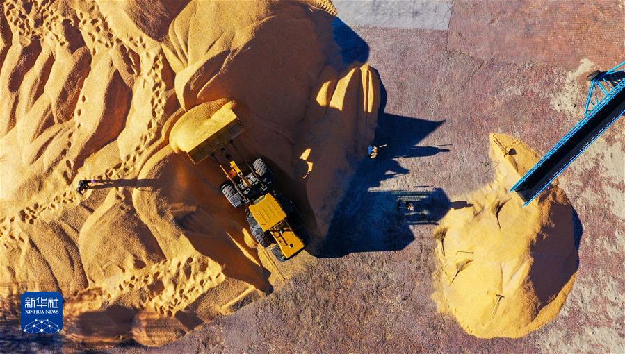 （鏡觀中國&middot;新華社國內新聞照片一周精選）（8）內蒙古通遼玉米迎豐收