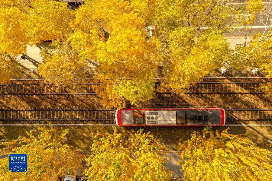 （鏡觀中國(guó)&middot;新華社國(guó)內(nèi)新聞?wù)掌恢芫x）（10）長(zhǎng)春秋景