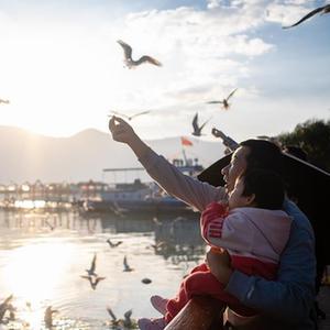 （鏡觀中國&middot;新華社國內新聞照片一周精選）（6）云南昆明：春城迎接紅嘴鷗