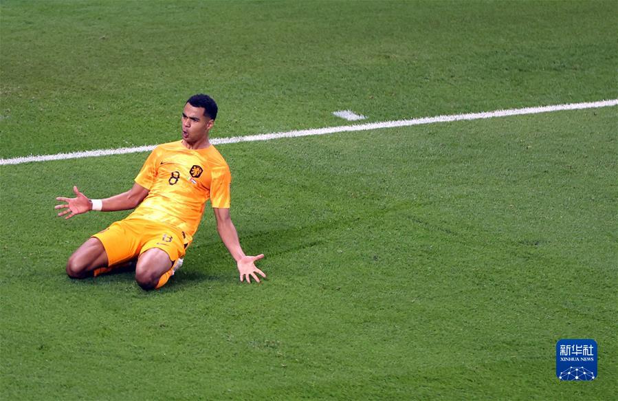  （卡塔爾世界杯）足球&mdash;&mdash;A組：荷蘭戰勝塞內加爾