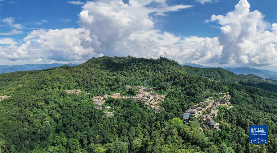 （社會）（1）&ldquo;普洱景邁山古茶林文化景觀&rdquo;成功申遺