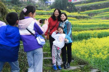 山鄉(xiāng)梯田開啟春季&ldquo;花朝節(jié)&rdquo;