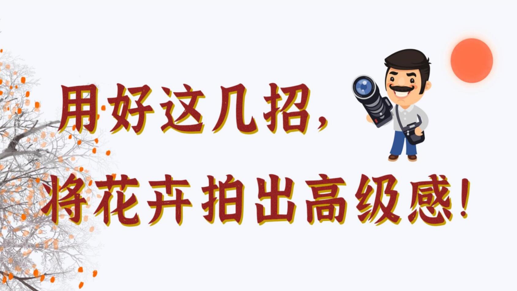 【光影輕課堂】用好這幾招，將花卉拍出高級感！