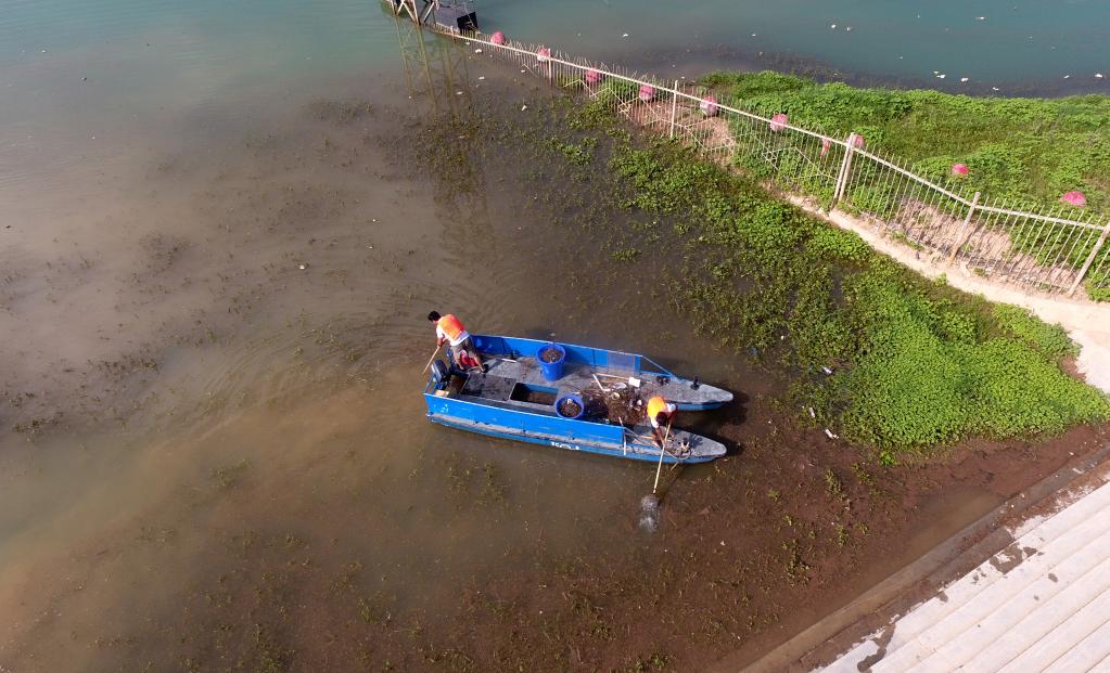 甘肅劉家峽：清漂護黃河