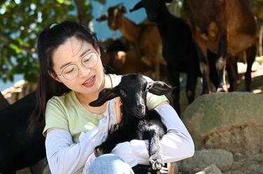 新華全媒+｜海島女&ldquo;羊倌&rdquo;的返鄉創業夢