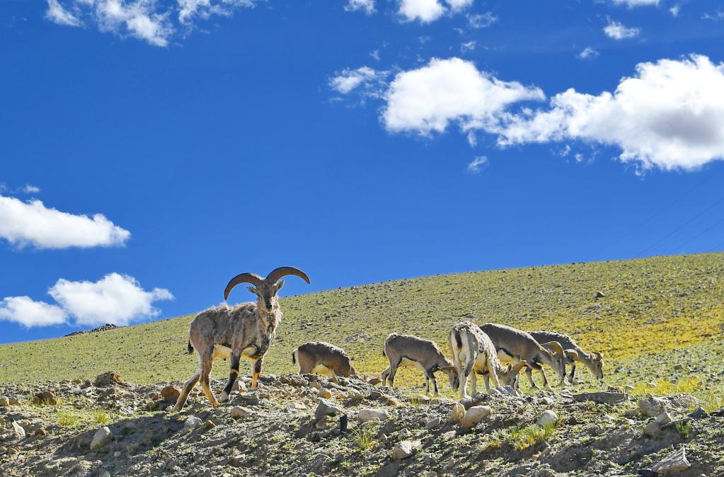 鏡觀中國&middot;新華社國內新聞照片一周精選