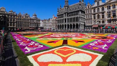 比利時布魯塞爾舉行第22屆&ldquo;鮮花地毯&rdquo;節(jié)