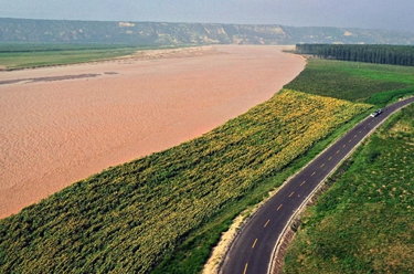 &ldquo;綠飄帶&rdquo;沿黃河蜿蜒