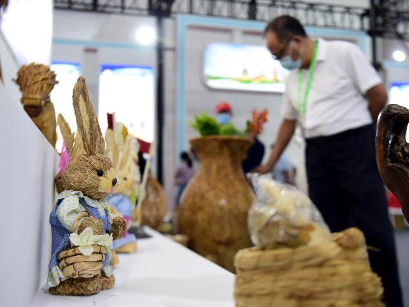 新華全媒+丨秸稈利用 變廢為寶&mdash;&mdash;打卡&ldquo;安徽秸稈博覽會&rdquo;