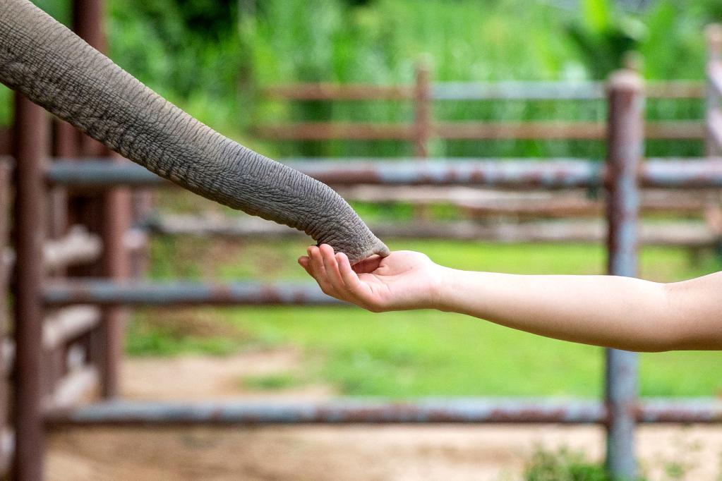 國(guó)際&middot;一周看天下