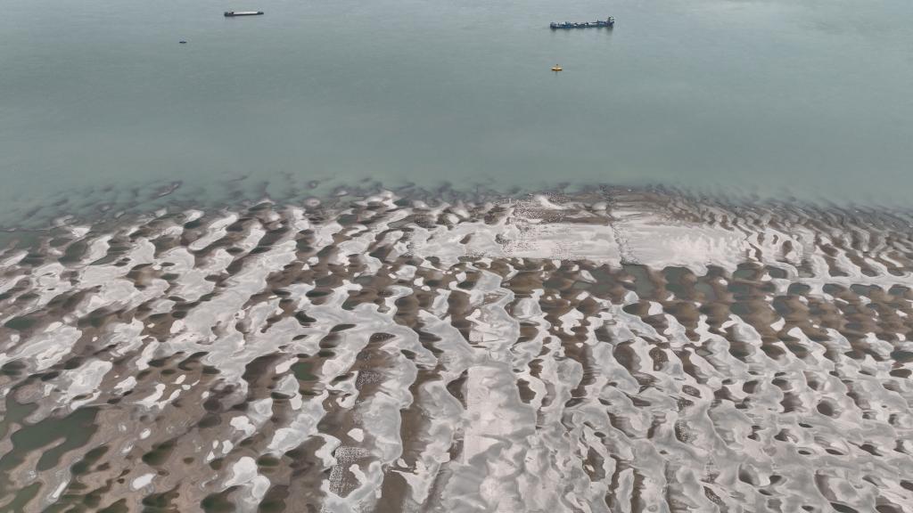 水位持續下降 長江九江段露出大片灘涂