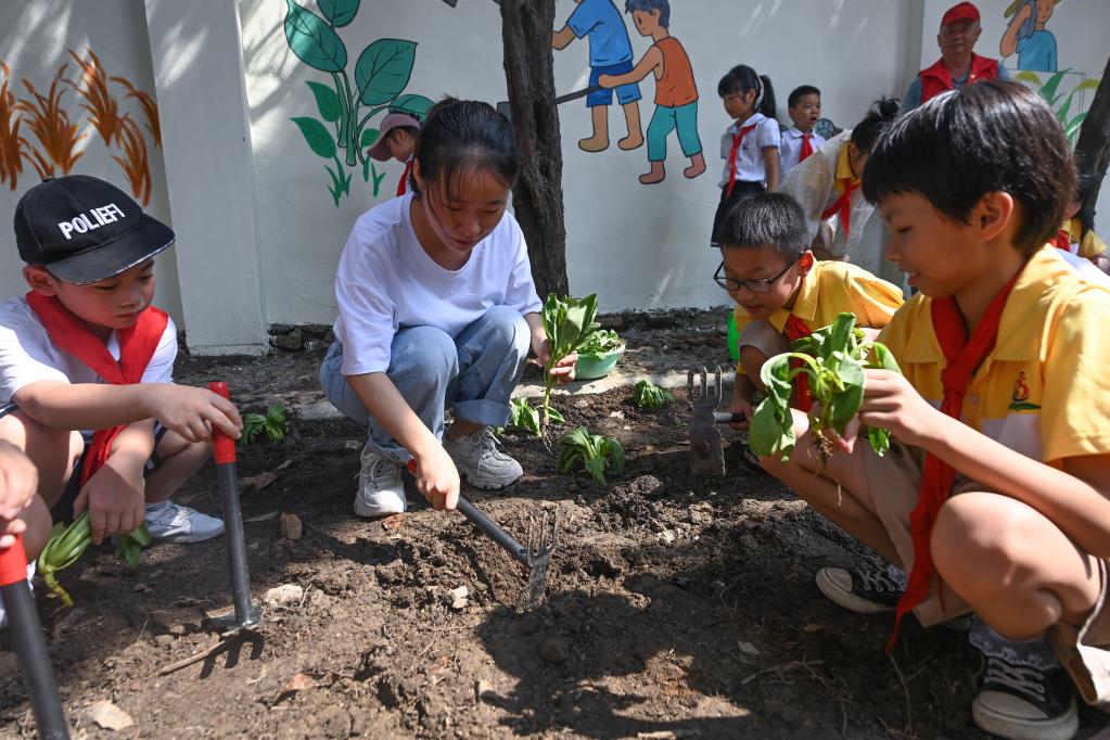 浙江湖州：勞動實踐教育開啟&ldquo;開學第一課&rdquo;