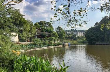 讓鄉村老院子煥發活力&mdash;&mdash;重慶巴南豐富旅游民宿供給觀察