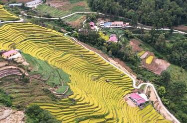 新華全媒+丨陜西嵐皋古梯田:秋糧豐收 旅游增收