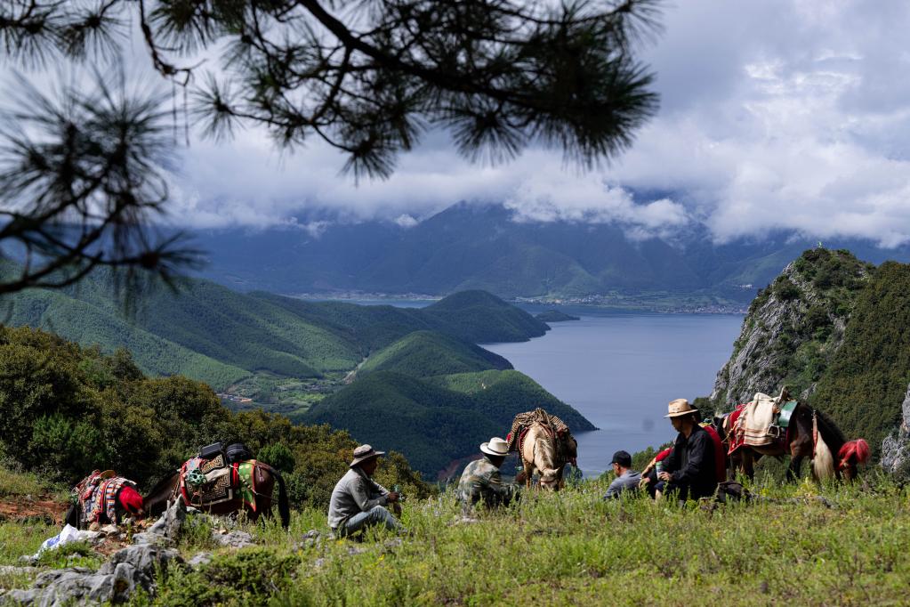 鏡觀中國&middot;新華社國內新聞照片一周精選