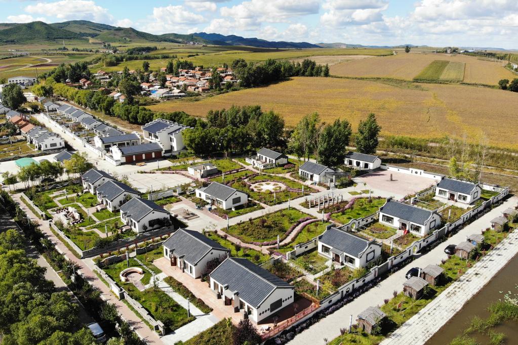 新華全媒+|黑龍江勃利:寒地中草藥產業助力鄉村振興