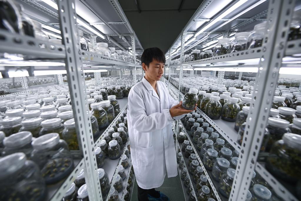 浙江臨安：&ldquo;農創客&rdquo;助力農業現代化