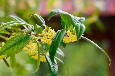 新華全媒+丨微視界&mdash;&mdash;秋分